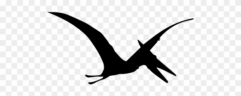 Pterodactyl Dinosaur Bird Shape Free Icon Dinosaur Silhouette Svg Free Transparent Png Clipart Images Download