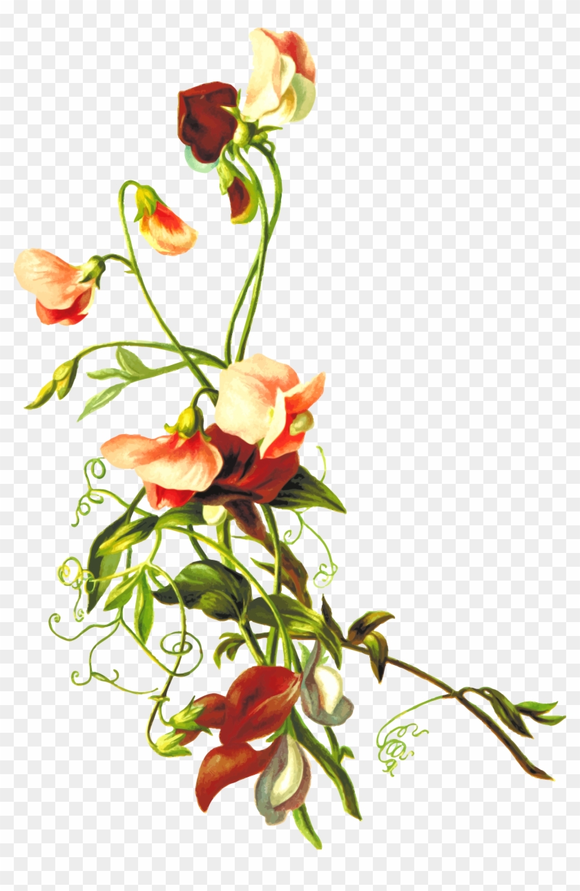 Flower 54 - Flower & Leaf Png #920037