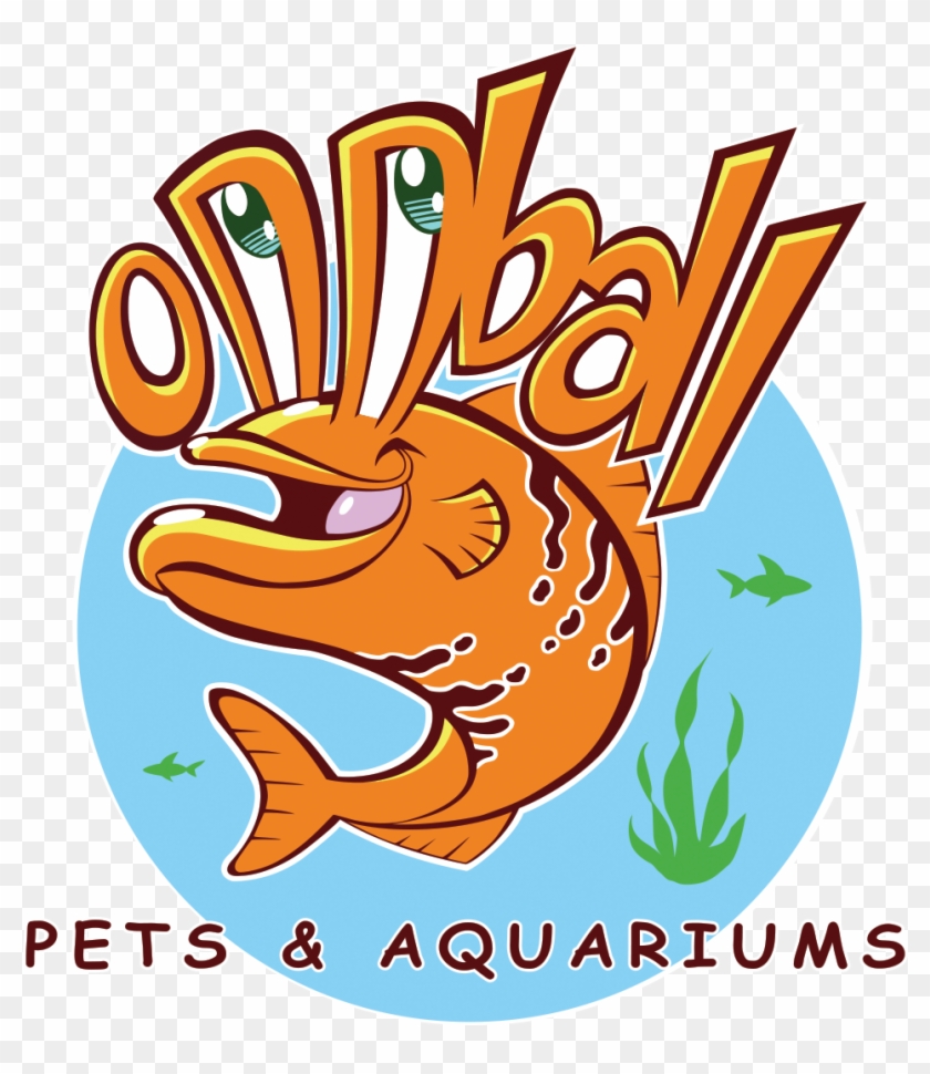 Oddball Pets And Aquariums #921454