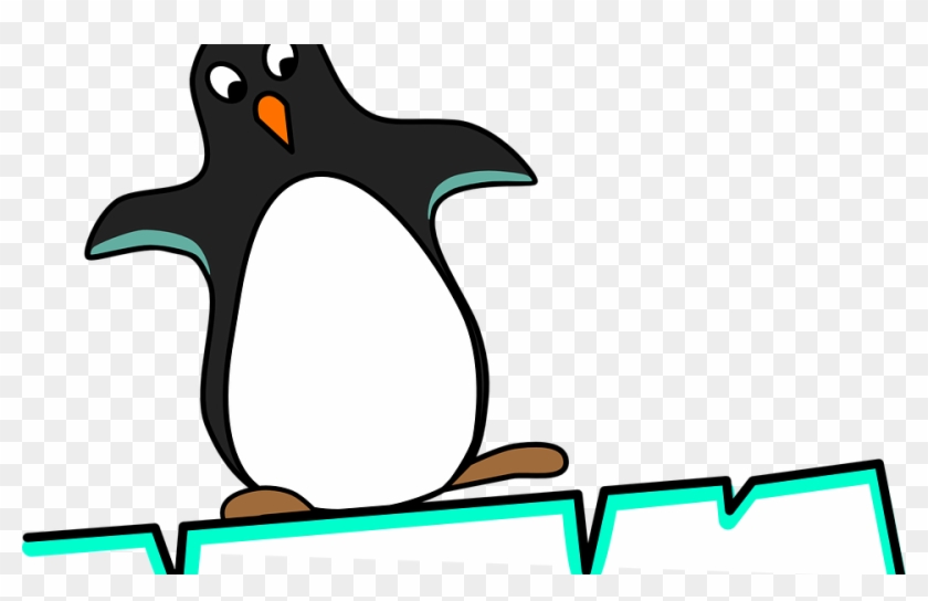 Google Rolls Out Penguin - Razorbills #921552