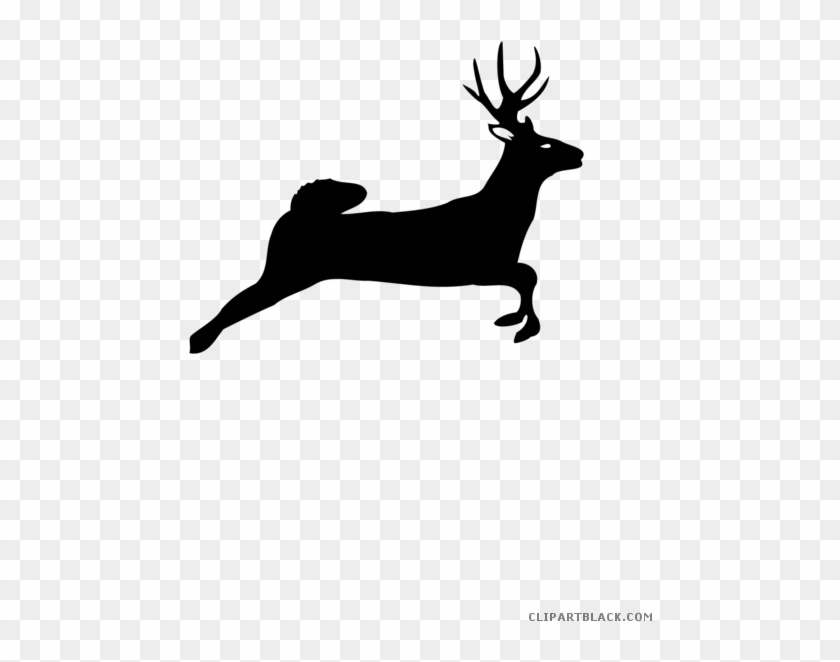 Black And White Deer Animal Free Black White Clipart - Whitetail Deer Jumping Silhouette Png #922438