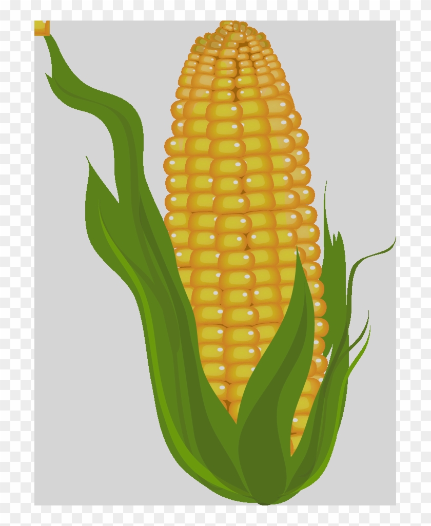 Free To Use & Public Domain Corn Clip Art Free To Use - Corn Clipart #923904