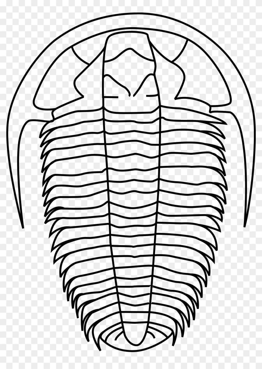 Big Image - Trilobite Clipart #926723