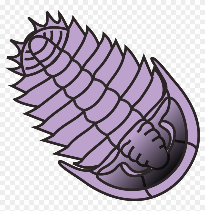 Trilobite For Portal - Trilobite Clipart #926729