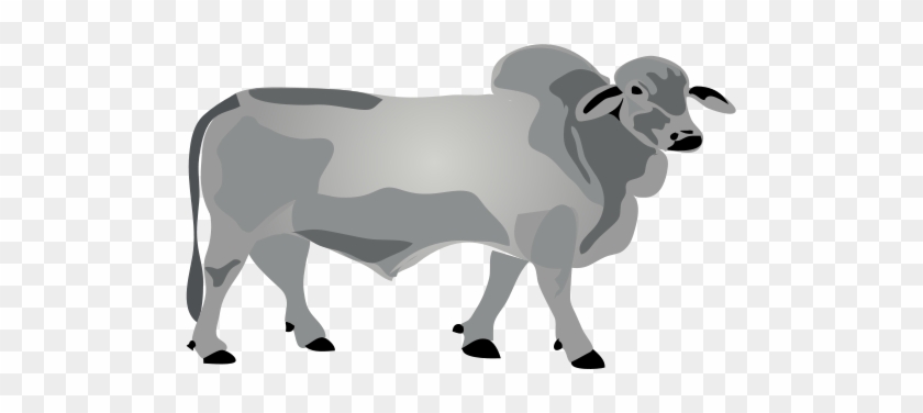 Ian Symbol Bos Primigenius Bull - Male Cow Cartoon Png - Free ...