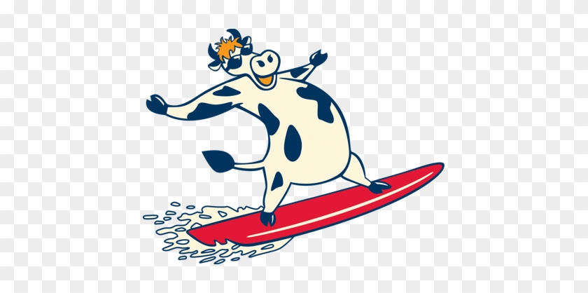 Big Boy Bbq 764 Glenhuntly Road, Caulfield South - Cow On A Surfboard #933968