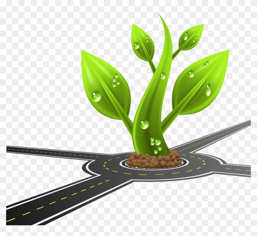 Photography Drawing Illustration - Flower 3d Png Cartoon #934503