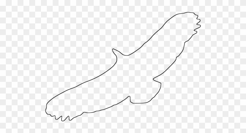 Griffon Vulture Outline Png Clip Arts - Line Art #934995