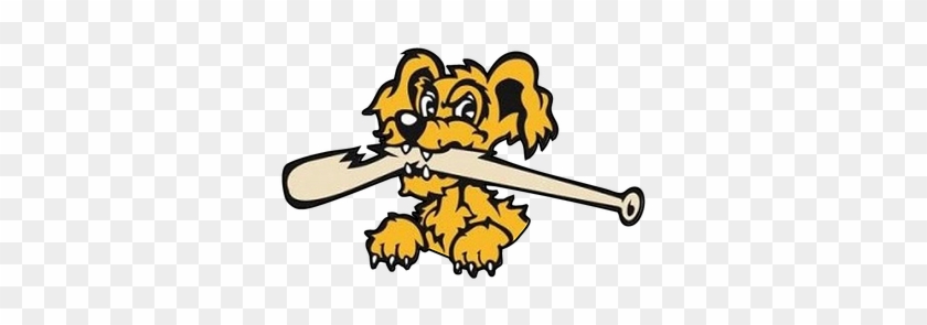 We Are - Charleston Riverdogs #936547