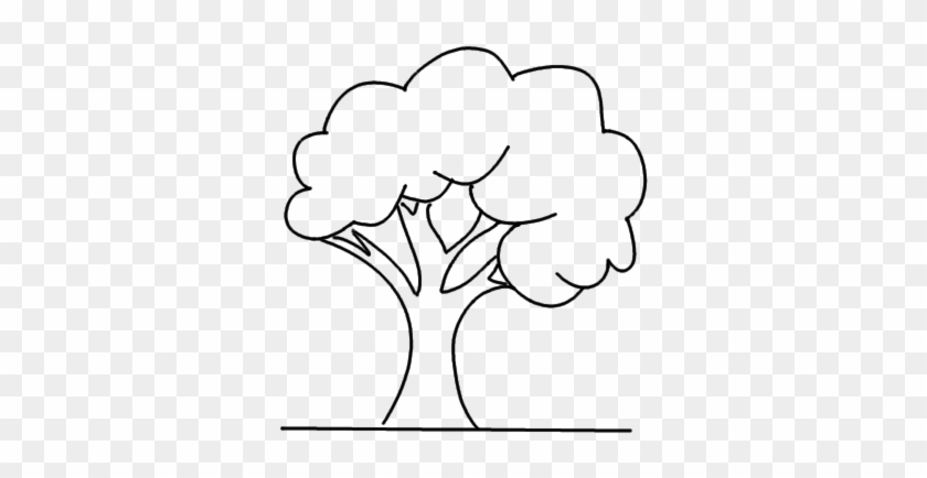206 2067839 how to draw a simple tree drawing