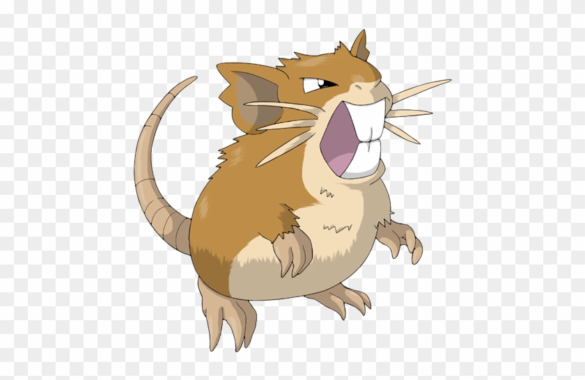 Raticate