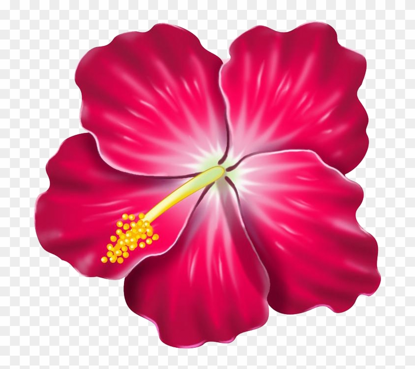 Red Hibiscus - Hawaiian Flower Clip Art - Free Transparent PNG Clipart ...