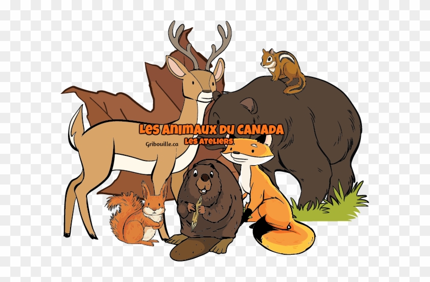 Les Animaux Du Canada - Las Animaux Du Canada #942594