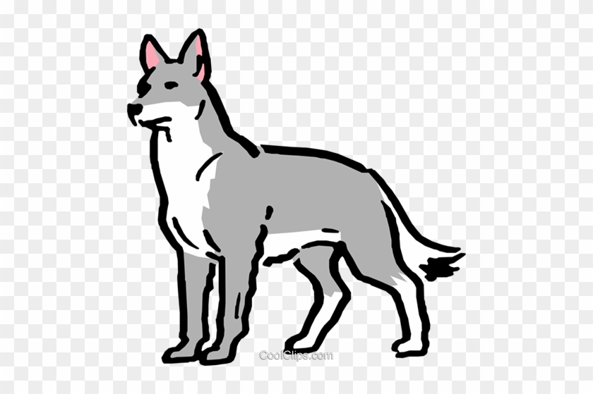 gray wolf clipart