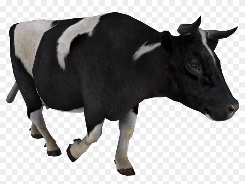 Planescape Torment Clipart Cow - Black Cow Png #948671