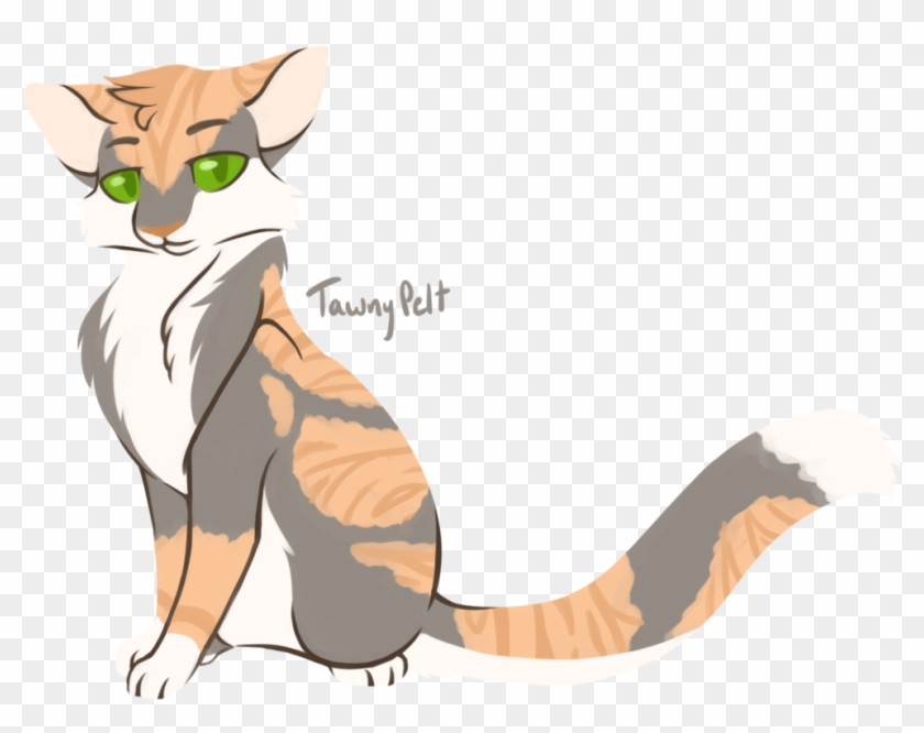 [100 Warrior Cats Challenge] - Tawnypelt #949992