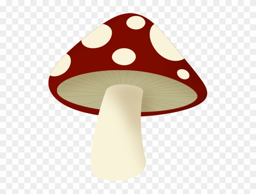 Album - Edible Mushroom #950086