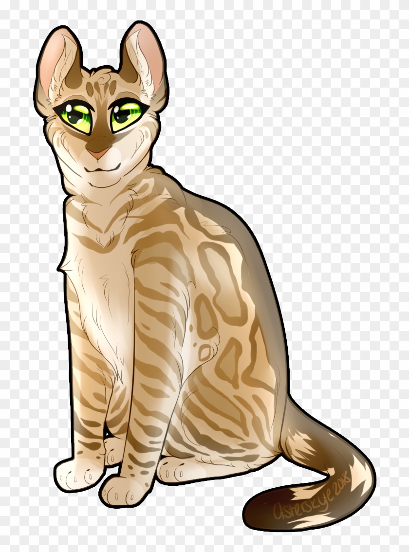 Doestar Of Thunderclan - Devon Rex #950311