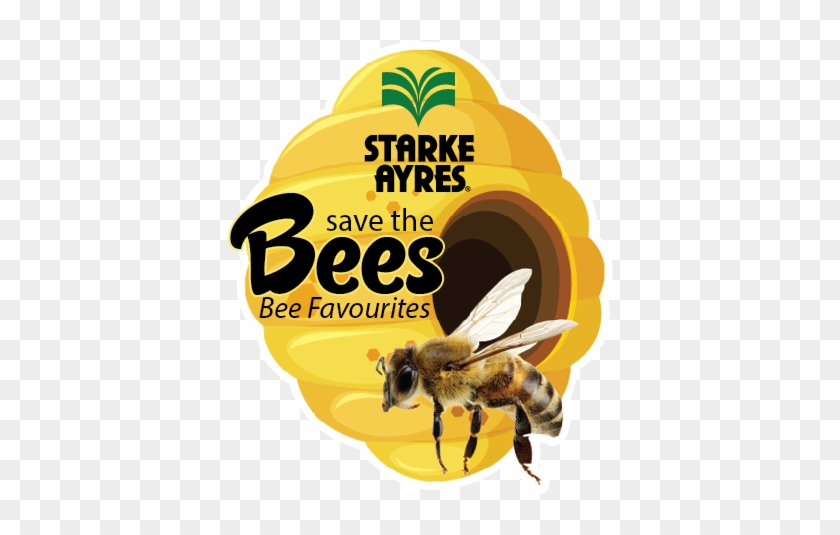 Save The Bees - South African Bee Products #950448