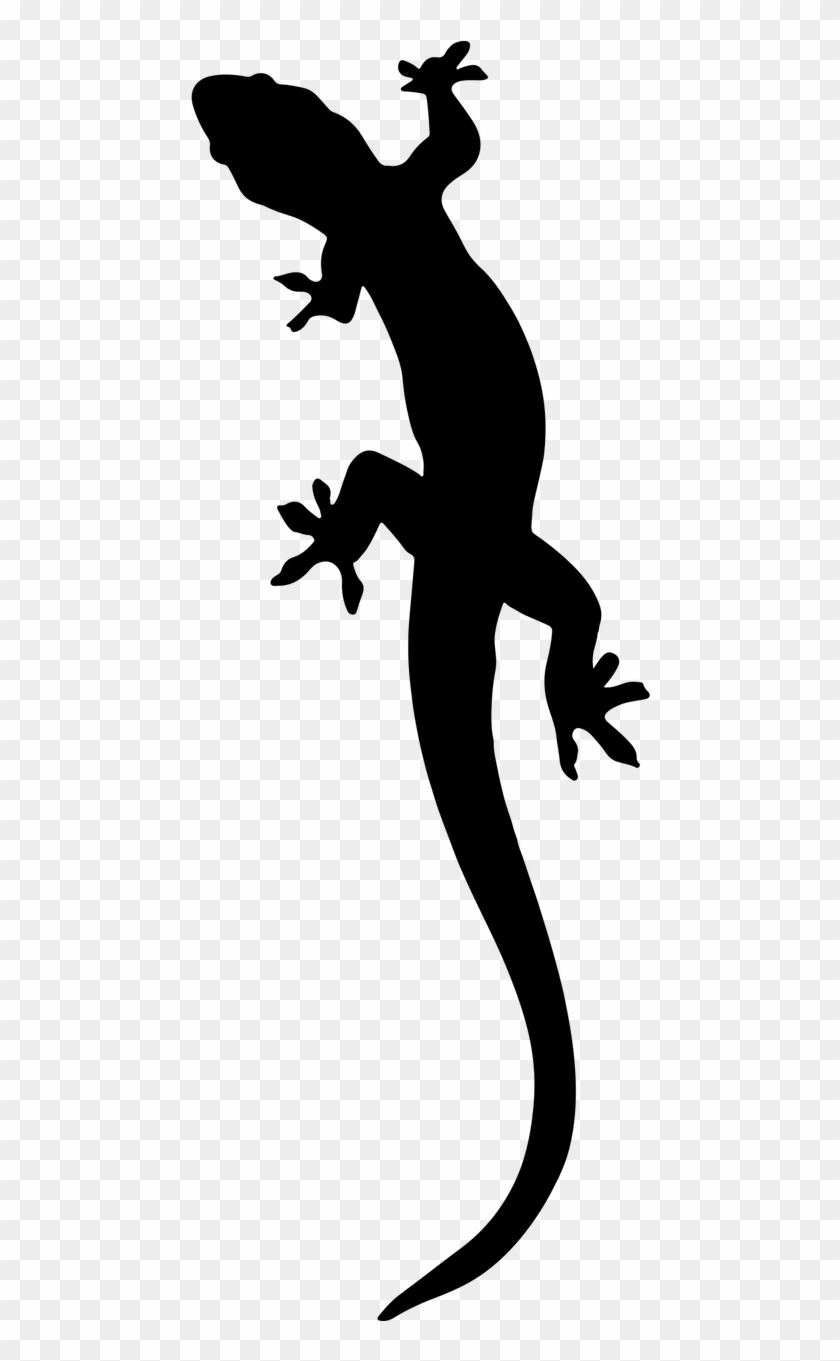 Free Image On Pixabay - Gecko Clipart #171157