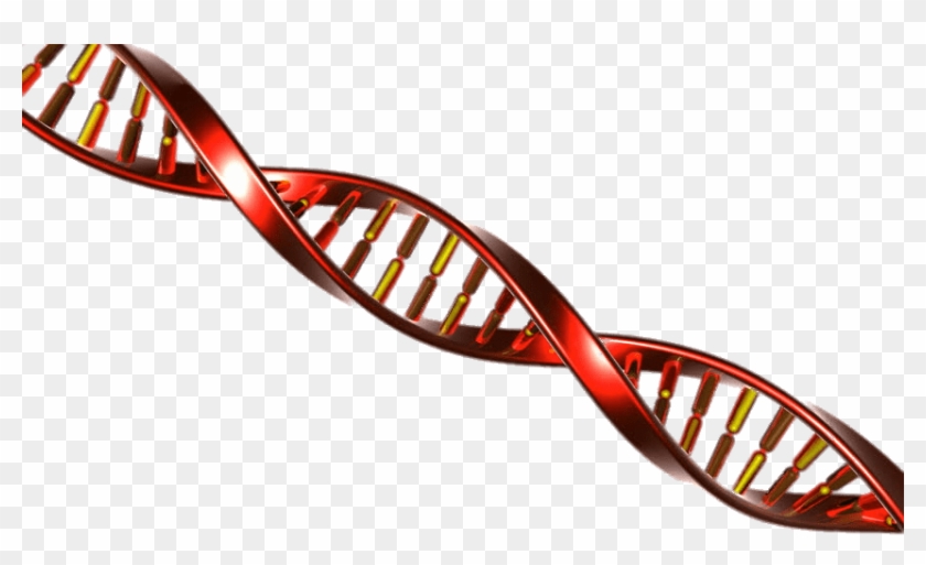 Dna String Red And Yellow Download In Png Format - Dna String Red And Yellow Download In Png Format #953155