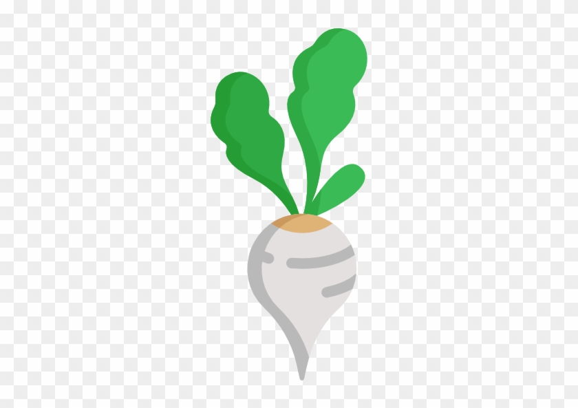 040 Radish Icon - Carrot #953350