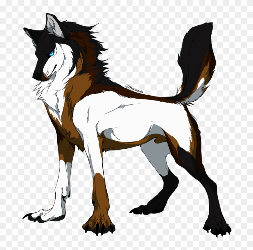 wolf coloring pages free coloring pages  anime wolf male