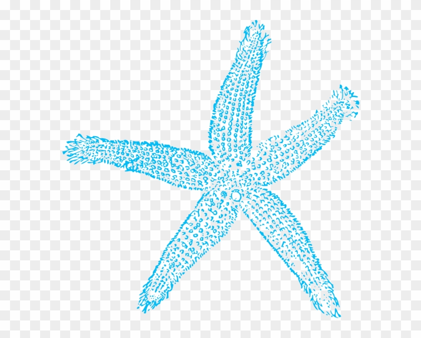 Blue Starfish Svg Clip Arts 594 X 595 Px - Blue Sea Star Png #953917