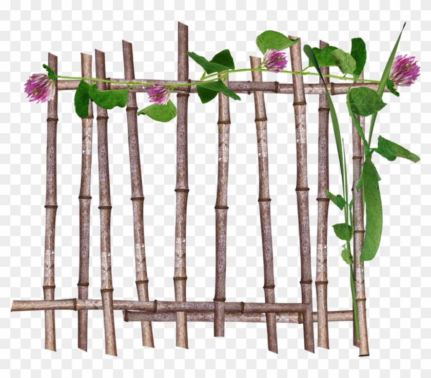 Publicat De Eu Ciresica La - Bamboo Fence Png #955688