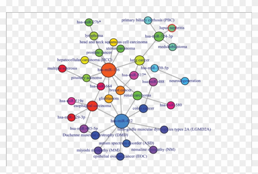 Output Figure And Statistics Of > Comorbiditymirna - Circle #955947