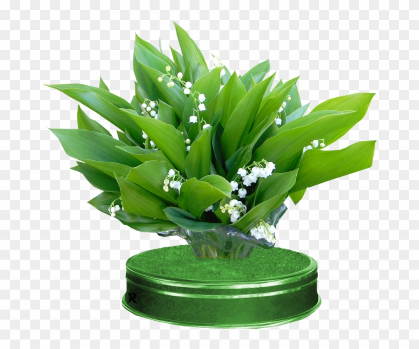 Partager - - Muguet #958827