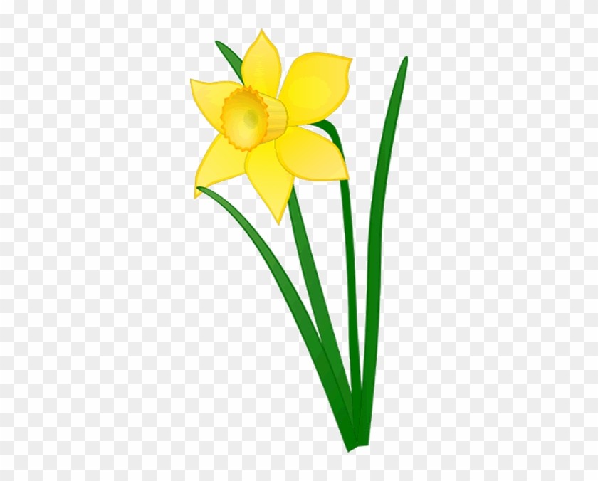 czeshop images daffodil flower clip art daffodi free transparent png clipart images download czeshop images daffodil flower clip art