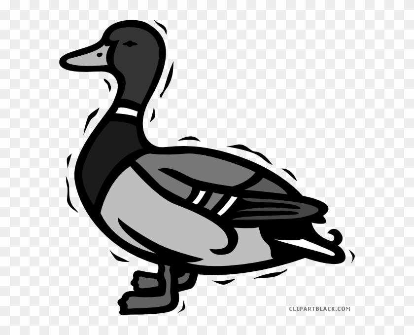 Duck Animal Free Black White Clipart Images Clipartblack - Itik Clipart #962862