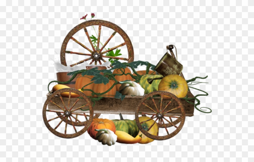 Pumpkins In Carriages - Cobb And Co Coaches #963242