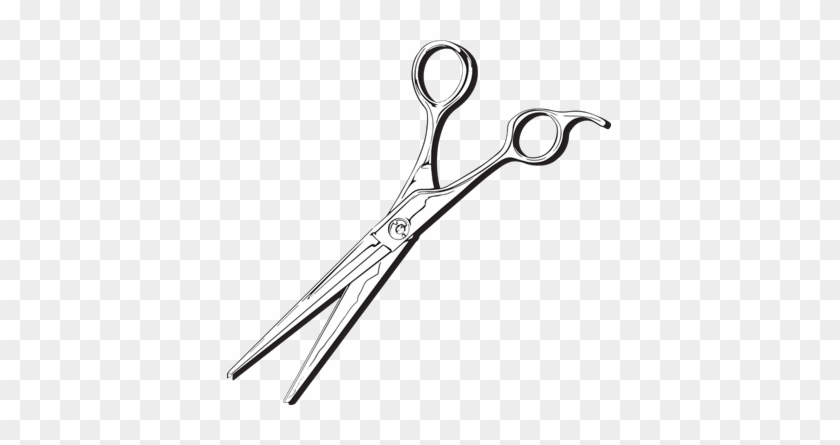 Haircut Shears - Scissors #964365