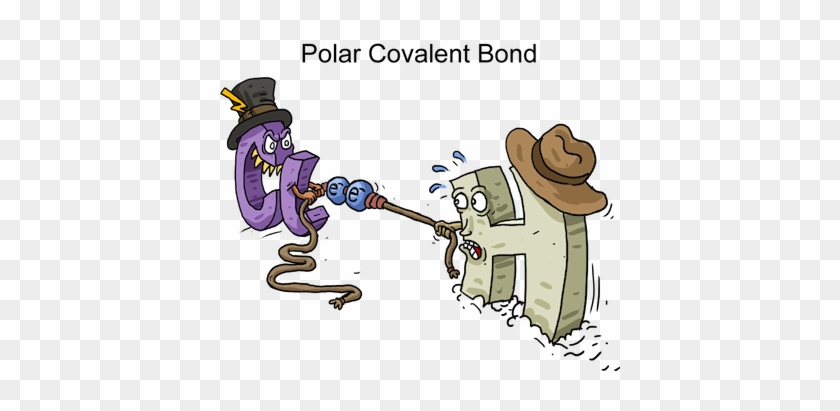 polar covalent bond cartoon
