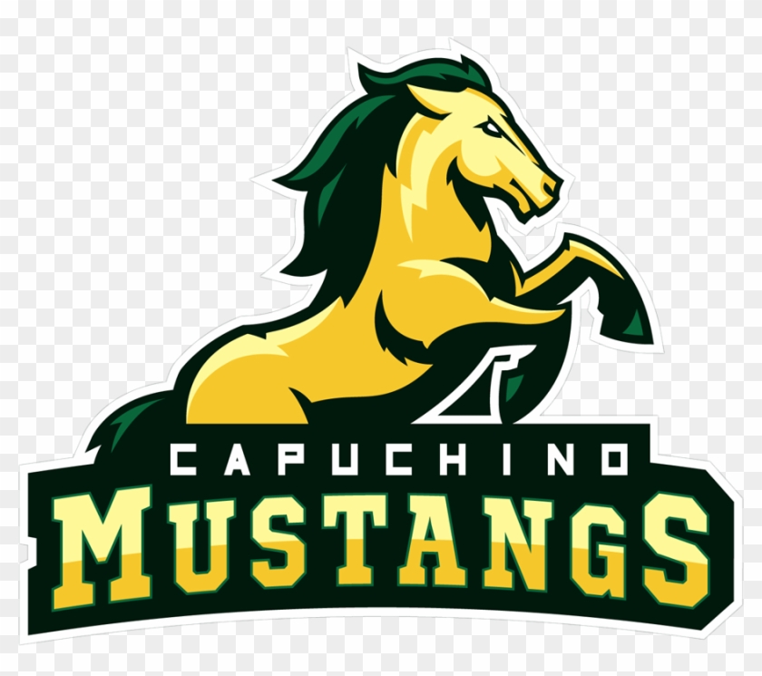 Capuchino Mustangs - Capuchino High School #964930