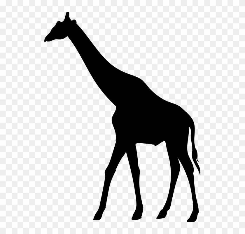 Donkey Silhouette Cliparts 26, Buy Clip Art - Silhouette Girafe #967312