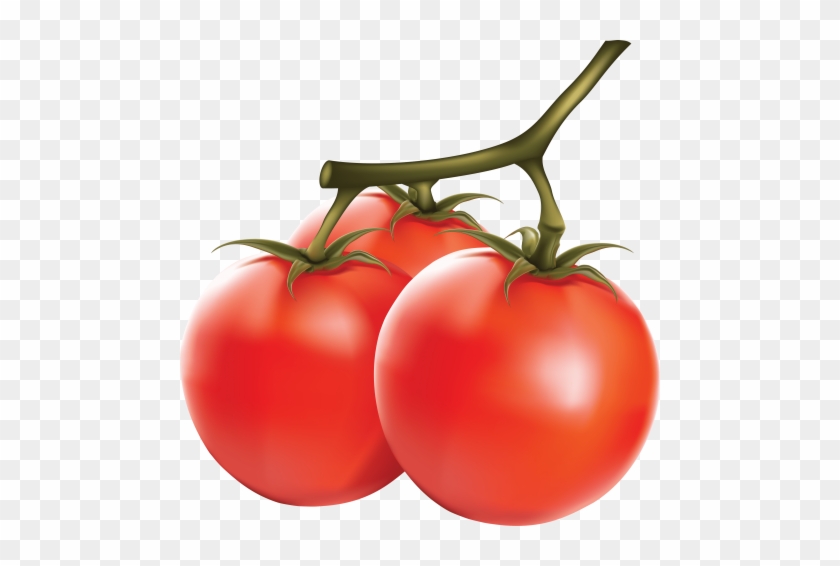 Free Png Tomato Png Images Transparent - Tomato Png #969251