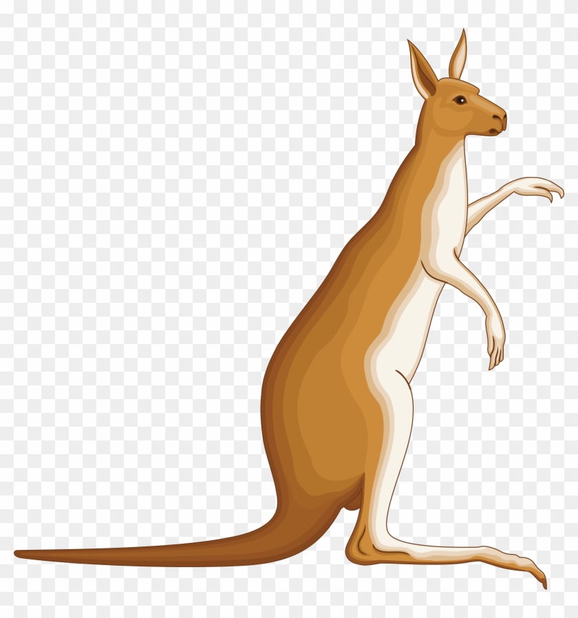 Free Clipart Of A Kangaroo - Coat Of Arms Kangaroo - Free Transparent ...