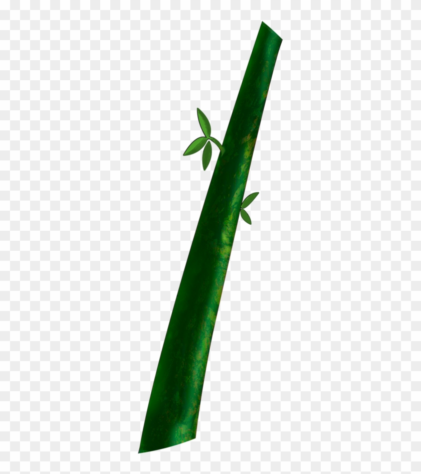 Bamboo - Plant Stem #971019