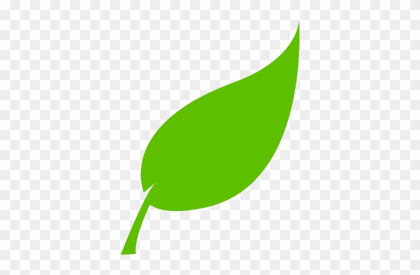 And Frame) Uses The Same Plastic - Tree Leaves Vector Png #973526
