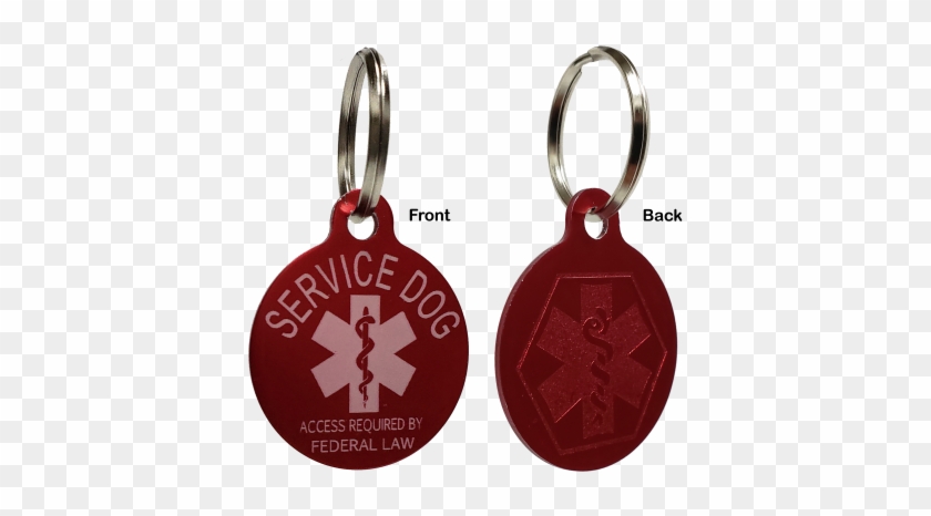 Com Aluminum Service Dog Tag Access Required - Earrings #974383