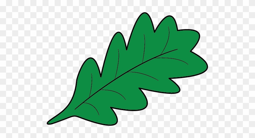 Leaf Clip Art - Leaf Clip Art #975322