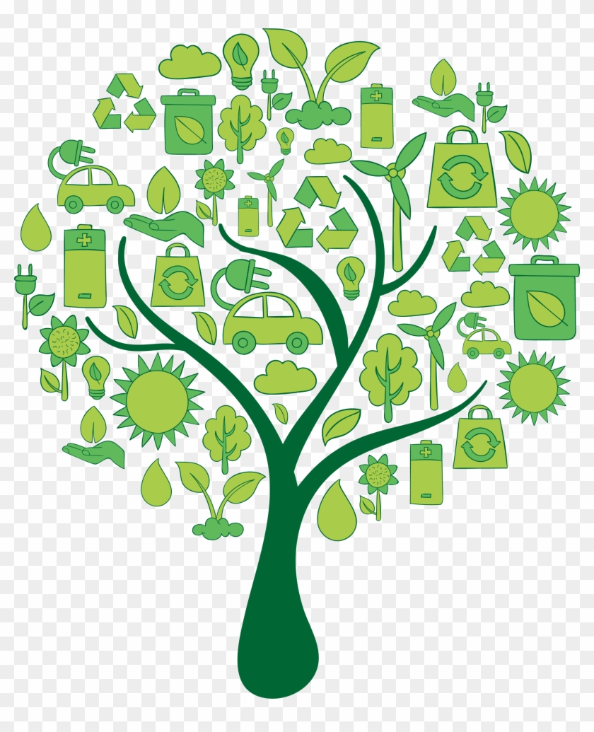 Energy Efficiency Tree - Tree Clipart No Background #977351