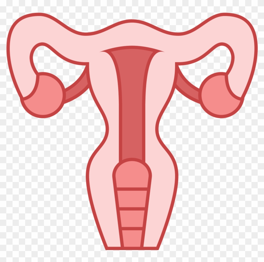 This Icon Represents The Uterus Of A Female Human - Uterus #980813