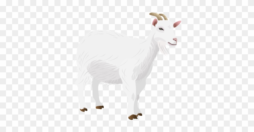 Goat T Shirt Roblox