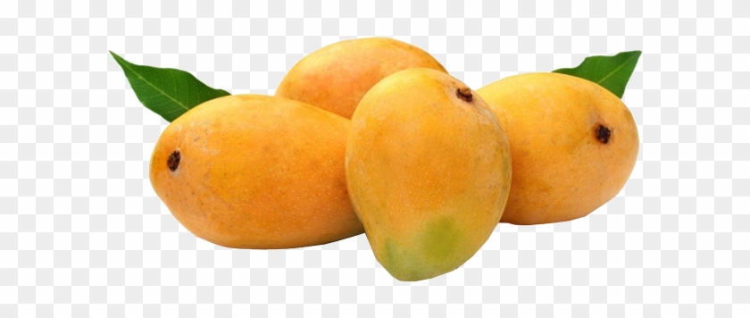 Mango - Hapus Mango #984597