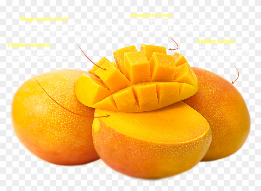 Australia Mango - Indian Mango Alphonso #984674