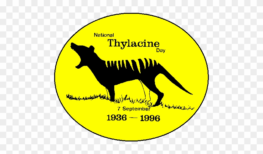 Thylacine #991056